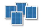 Suntech 10 Watt Module